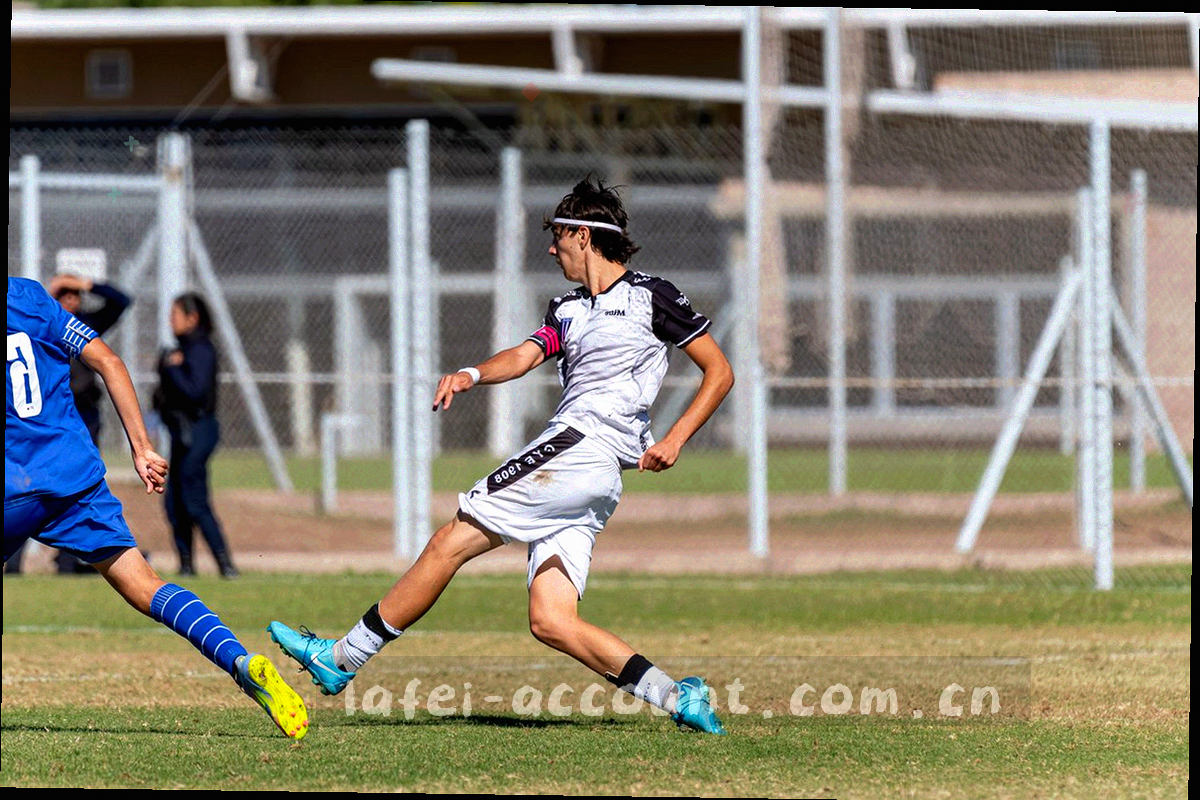 多组抽象标签色块按网格排列，使用酒红、墨绿与琥珀三色区分分类